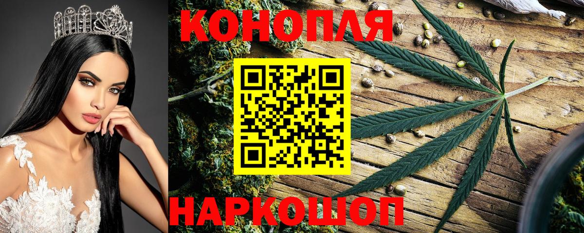 Шишки марихуана LSD WEED  Бошки марихуана гибрид  Конопля планчик  МАРИХУАНА сатива  Псков  Вход с VPN 